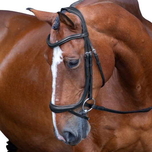 Shires Velociti RAPIDA Ergonomic Curved Flash Bridle