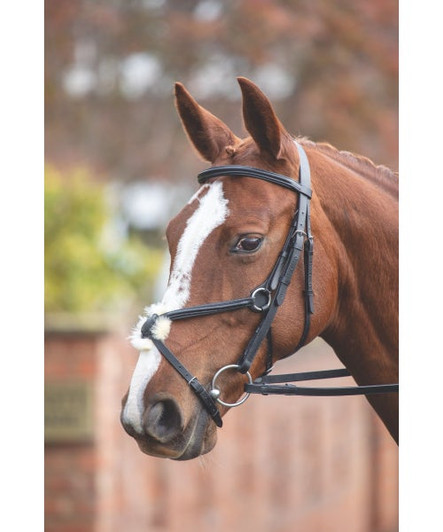 The Velociti GARA bridle is great for stronger horses due to the increased control offered by the Mexican noseband. Also useful for horses that cross the jaw. Featuring a raised browband, this bridle benefits from sheepskin noseband pad, rubber grip reins, hook stud billets and stainless steel fittings. Restrained design gives Velociti GARA leatherwork enduring appeal.