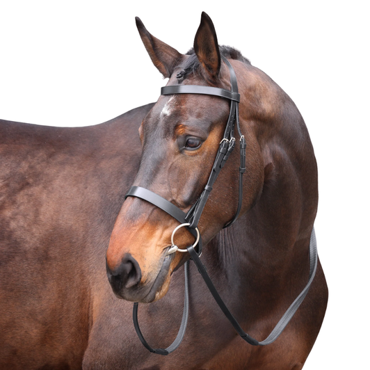 Shires Velociti GARA Plain Bridle