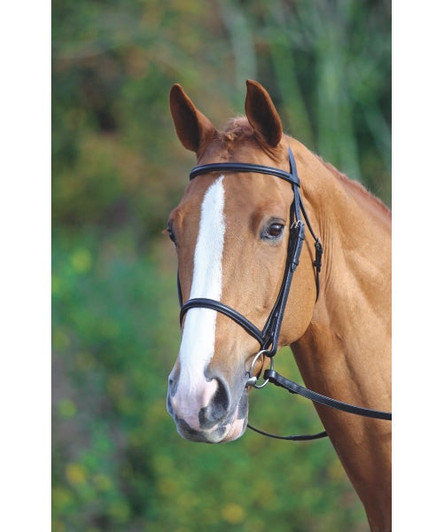 This elegant Velociti GARA bridle is great for enhancing fine features and comes with a raised browband, raised cavesson noseband, rubber grip reins, hook stud billets and stainless steel fittings. Restrained design gives Velociti GARA leatherwork enduring appeal.