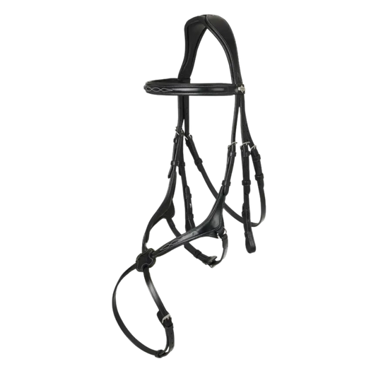 LeMieux Kudos Grackle Bridle