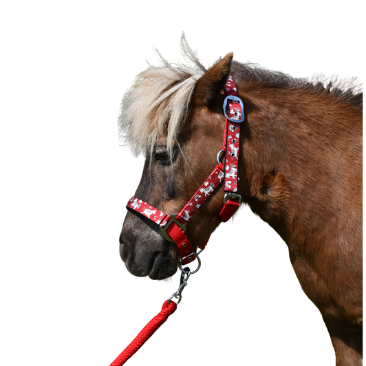 Rhinegold Unicorn Headcollar & Rope Set