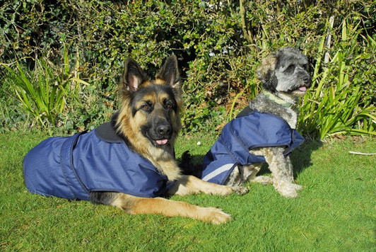 A 600denier waterproof ripstop outer, fully fleece lined. Adjustable touch tape belly strap and thin elastic little leg straps . The Highland coat also features a zip to allow for a harness to be attached.