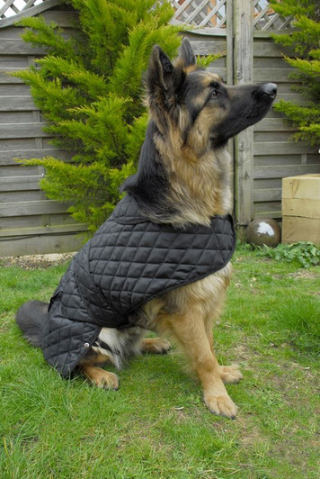 Quilted dog coat, slightly padded with a smooth breathable nylon lining. Easy touch tape chest and belly fastening with soft elastic leg straps. There is a small zip on the top of the coats for safe securing to a harness if needs be.
Finished with a cute collar around the neckline.
