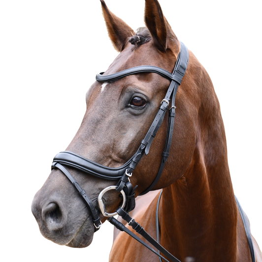 Rhinegold Softee Padded Leather Pro-Anatomical Bridle