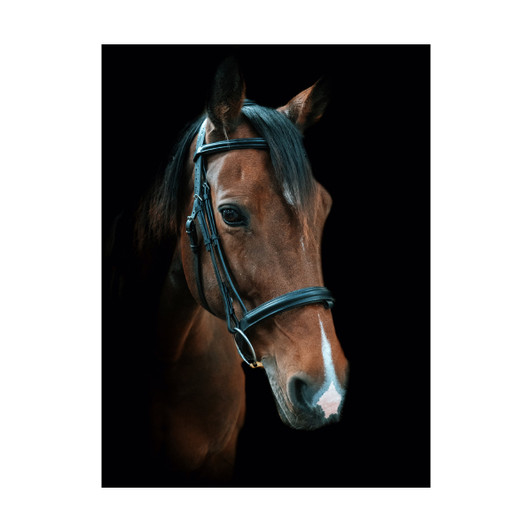 Developed with a beautiful anatomic headpiece with super soft padding to assist alleviating poll pressure. The headpiece has a subtle cutaway to take pressure from the ears. With a raised and padded browband this bridle offers comfort and a balanced elegant look. 

Complete with Suregrip reins and includes a flash.