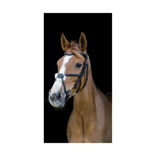 Anatomical Grackle Bridles are developed to provide comfort for your horse whist advoiding facial nerves and advoiding pinching. 

The Grackle noseband can provide additional control as it can prevent your horse avoiding the bit crossing their jaw.