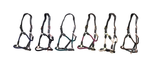 Shaped Anatomic Leather Headcollar in a collection of 6 stylish colours.

Super soft anatomic leather headpiece with soft yet strong rope secured with leather chapes and robust metal fittings.