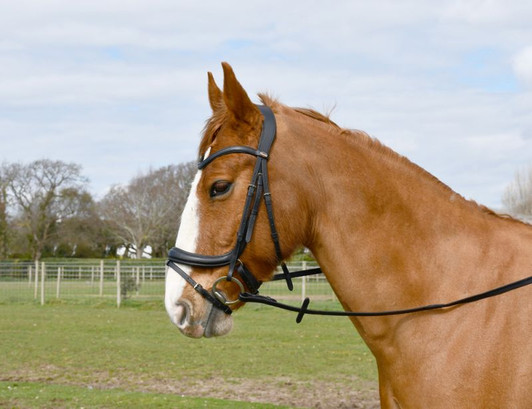 Anatomically shaped leather bridle with a fully padded leather crown, shaped around the ears for comfort.
Anatomically shaped to sympathise with the shape of the horses face.
Includes smooth feel leather reins