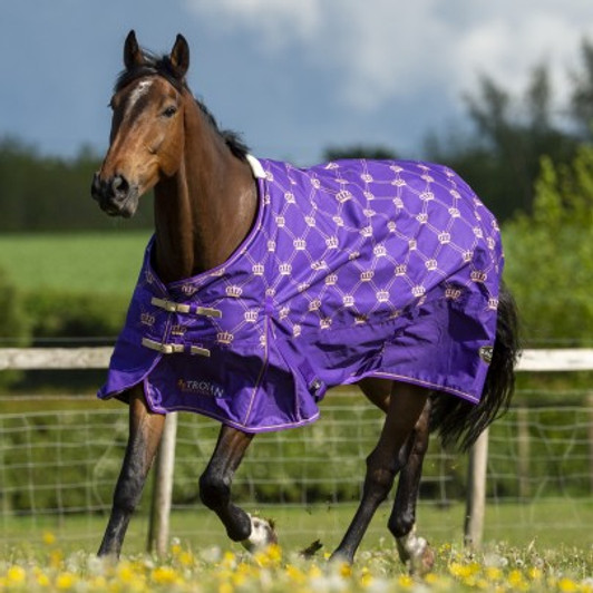 Stand out with the Regal 100g Purple Monarch Turnout Rug! The elegent gold crown pattern exudes an air of dignity, while the robust design of the rug provides protection against
the elements across all seasons. Features include a waterproof, breathable outer with a 100g insulated fill, shoulder pleats, and secure fastenings.

• 600d ripstop outer
• 100gsm insulated fill
• Waterproof
• Breathable
• Nylon lining
• Crossed surcingles
• Equipped with safety breakaway elasticated detachable leg straps
• Tail flap
• Shoulder pleat to reduce rubbing
• Double buckle breast fastenings
