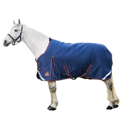 Mackey Keadeen Standard Medium Turnout Rug 250g