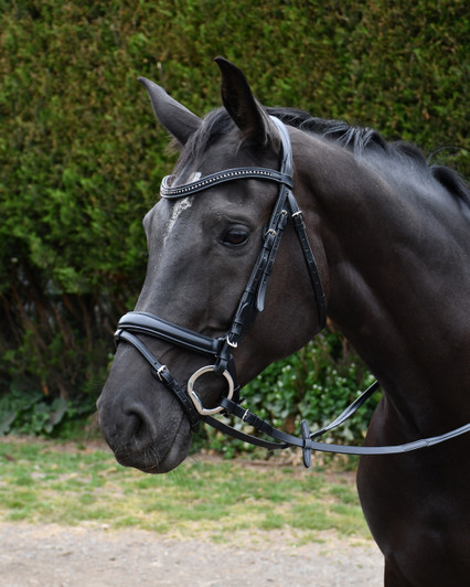 Rhinegold Italia Luxury Anatomical Flash Bridle Rhinegold Italia Luxury Anatomical Flash Bridle