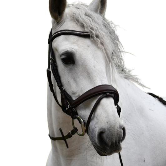 Rhinegold Softee Leather Anatomical Flash Bridle