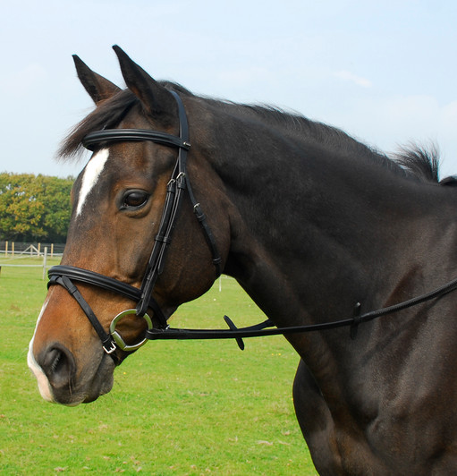 Heritage Saddlery English Leather Bridle With Flash Noseband