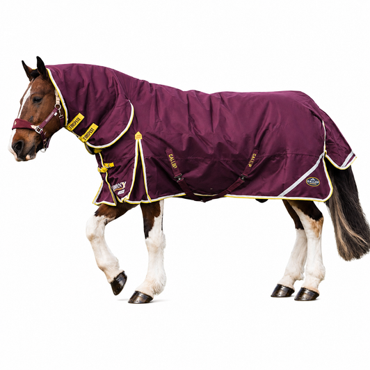 Gallop Trojan Xtra 200g Turnout Rug Combo 1200D