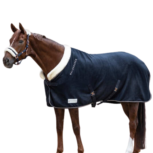 Mackey Modern Rose Fleece Rug