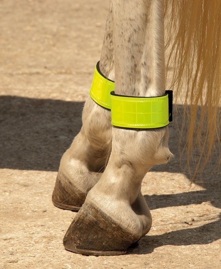 Harlequin Neoprene Lined Reflective Leg Bands