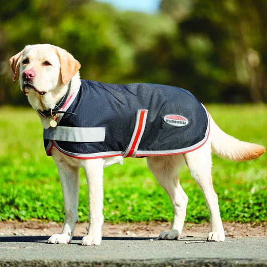 With ceramic fabric technology, the WeatherBeeta ComFiTec 1200D Therapy-Tec dog coat is the perfect choice for active dogs pre or post exercise to warm up and down. The ceramic fabric technology helps to reduce lactic acid build-up, relieve pain associated with arthritis or simply keep your companion warm and comfortable. With a 1200 denier waterproof and breathable outer fabric 100g of polyfill and touch tape closures on chest and belly and harness hole, this makes a great choice for dogs when extra weather protection is required for example when out walking. *Not recommended for pregnant dogs.
