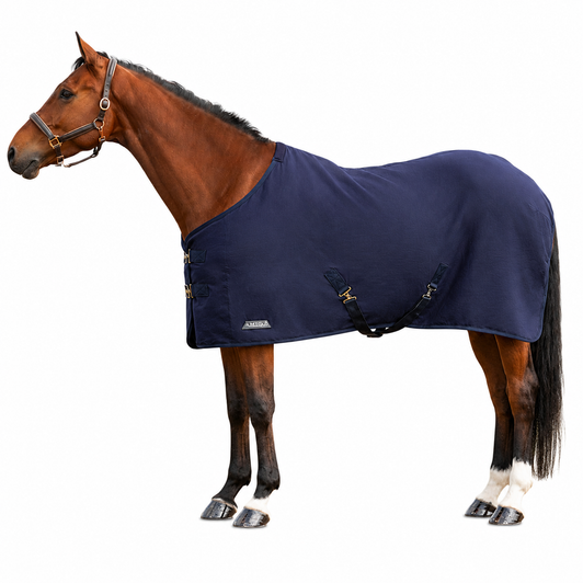 StormX Empra Pima Cotton Sheet