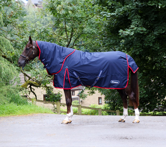 Whitaker Rastrick V2 Turnout Rug Detachable Neck 250g