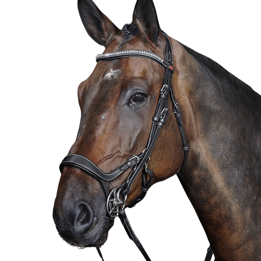 Whitaker Chicago Anatomic Breathable Bridle