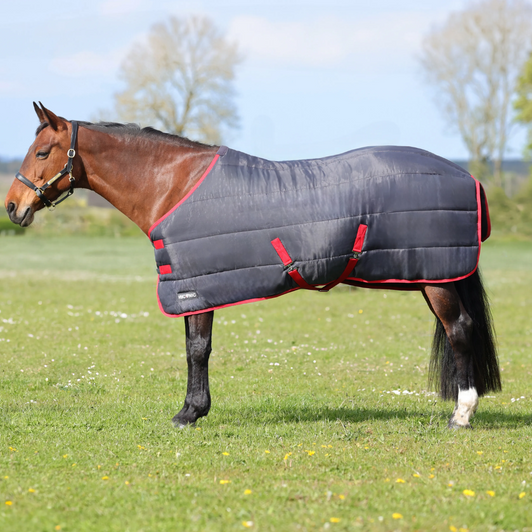 HyCONIC 250g Stable Rug HyCONIC 250g Stable Rug