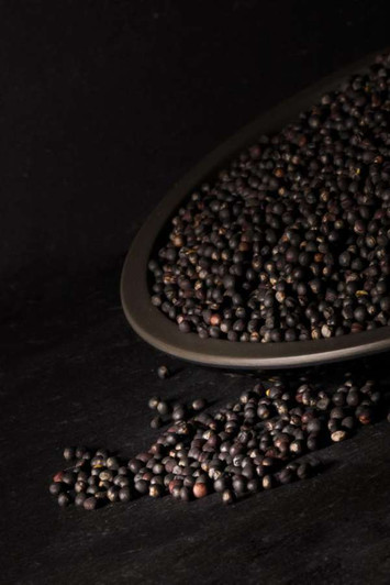 Black Rapeseed
