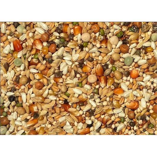 Bamfords Basic Pigeon Maintenance Mix