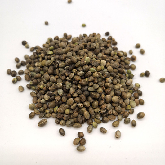 Chinese Hempseed For Fishing Chinese Hempseed For Fishing