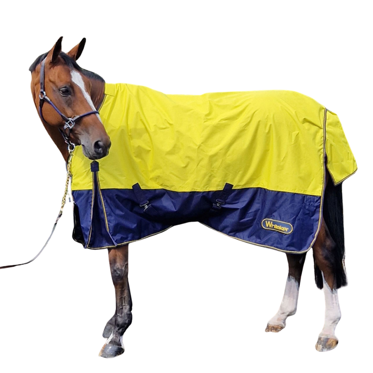 Whitaker Hornsea Turnout Rug 0 Gm