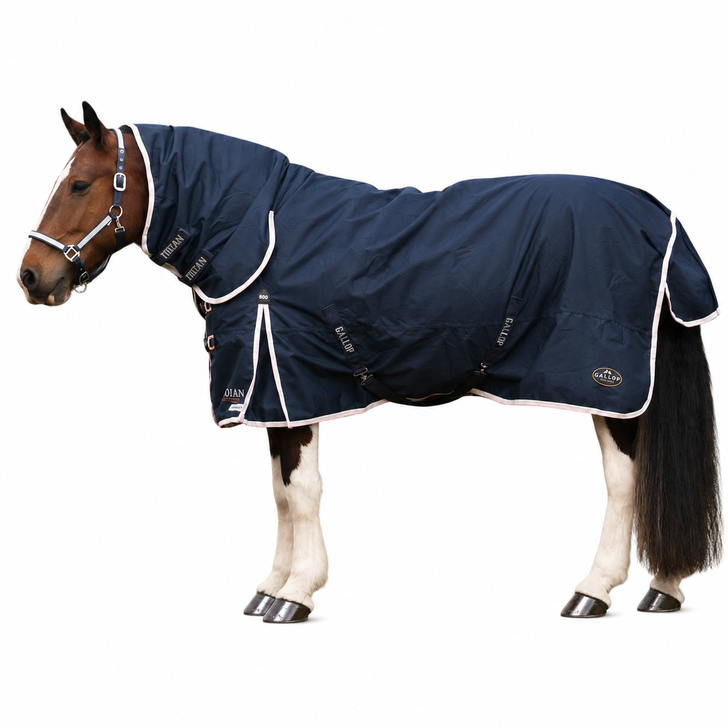 Gallop Trojan 50 Duraproof Combo Turnout