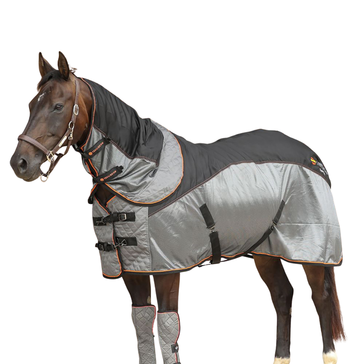 Equilibrium Therapy Magnetic Rug