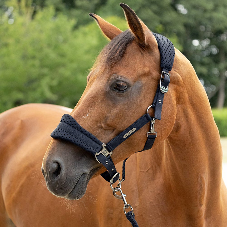 Coldstream Middleton Air Flow Head Collar & Lead Rope