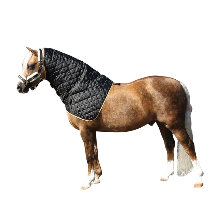 Supreme Products Show Quilted Hood