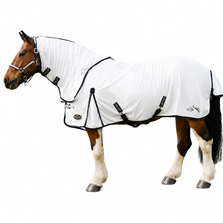 Gallop Dual 5-Point Fly Rug & Neck Set