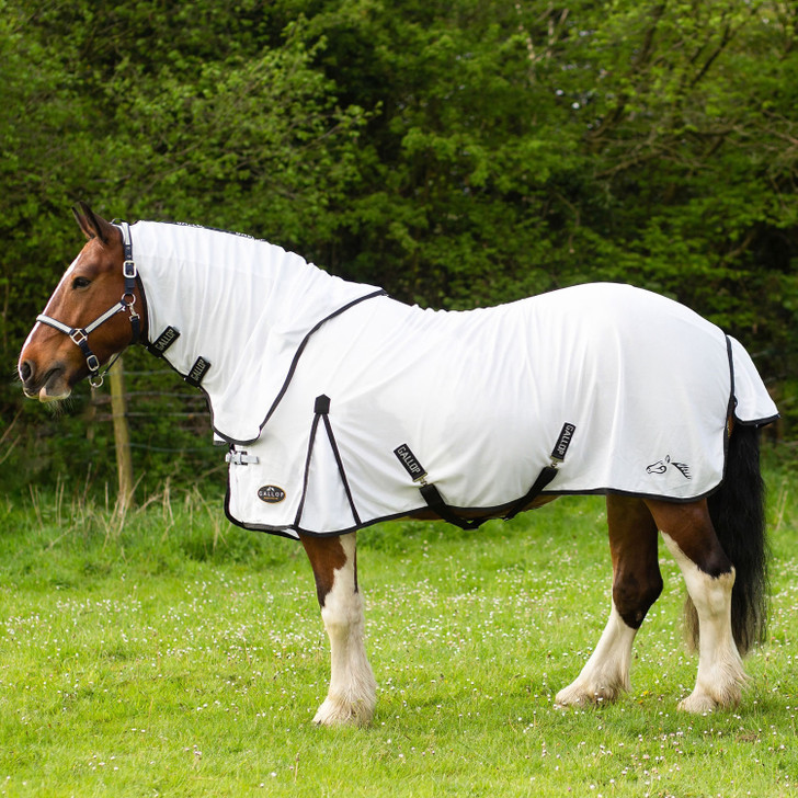 Gallop Ponie Dual 5-Point Fly Rug & Neck Set