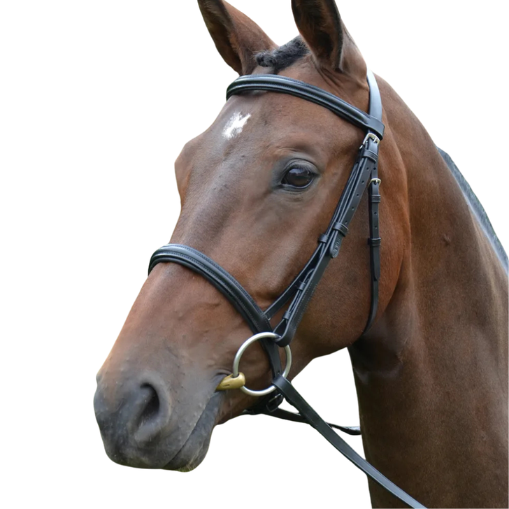 Hy Equestrian Padded Cavesson Bridle with Rubber Grip Reins