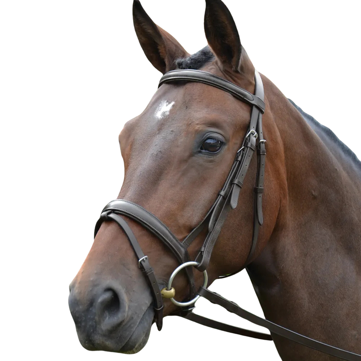 Hy Equestrian Padded Flash Bridle with Rubber Grip Reins