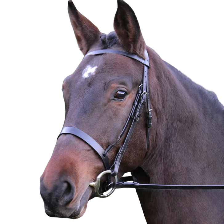 Hy Equestrian Hunter Bridle with Rubber Grip Reins