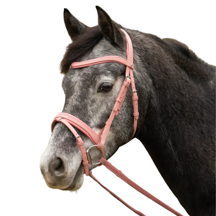 Little Rider Serena Bridle
