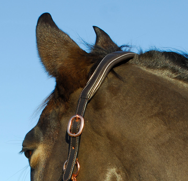 Rocco Italia Turin Leather Headcollar