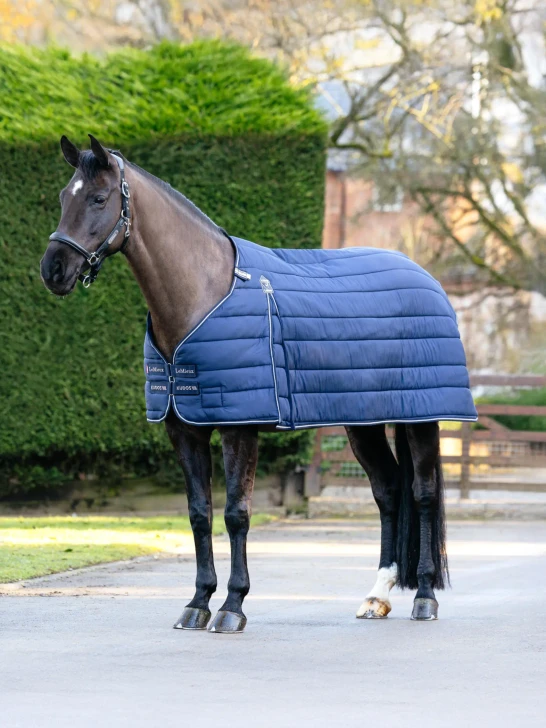 LeMieux Kudos Rug Liner 200g