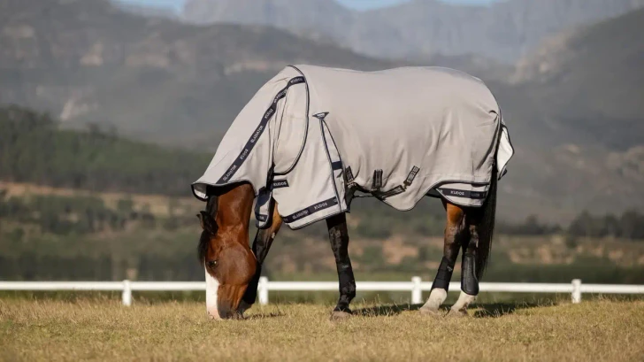 LeMieux Kudos Gladiator Fly Rug