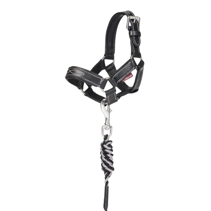 LeMieux Toy Pony Leather Headcollar & Leadrope