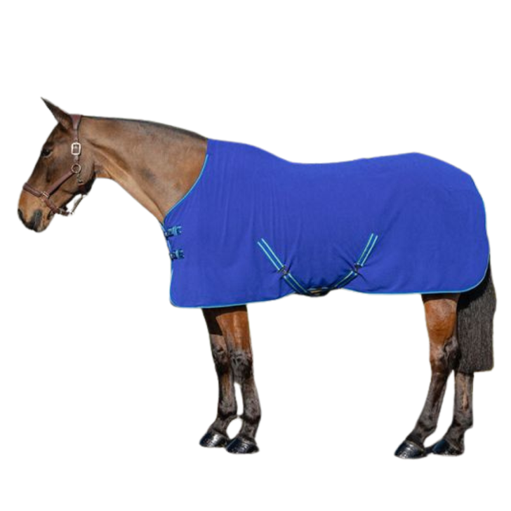 Rhinegold Fleece Backed Terry Towelling Rug
