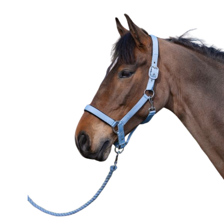 Rhinegold Sorbet Padded Headcollar And Luxury Leadrope Set