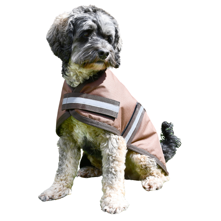 Rhinegold Waterproof Dog Coat