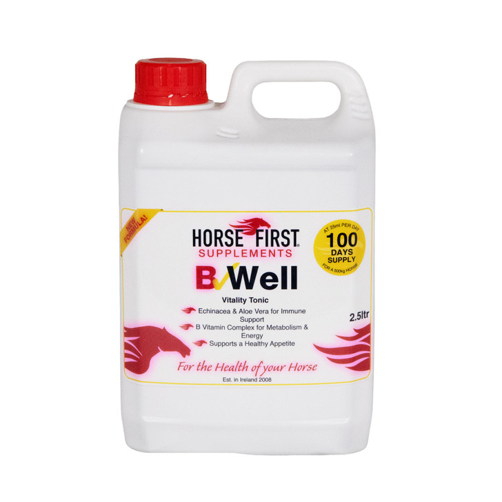 Horst First B Well
