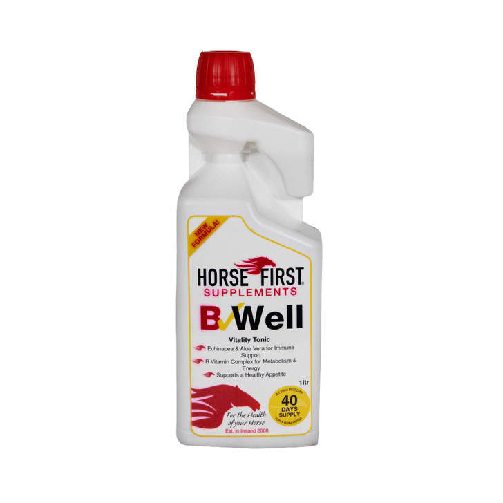 Horst First B Well