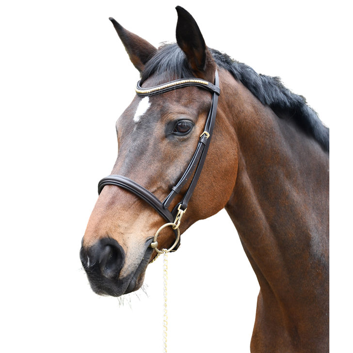 Rhinegold Veneto Leather Show Bridle With Clincher Browband